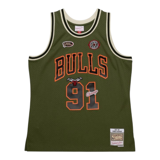 Jersey Edición Especial Chicago Bulls Flight – Dennis Rodman #91 Verde